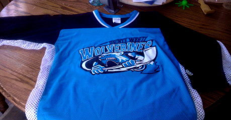Wolverines  jersey design for womens ball hockey team
